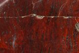 Polished Stromatolite (Collenia) - Minnesota #155590-1